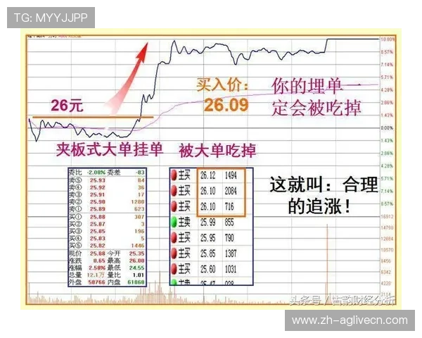 全面解析百家乐走势图的类型与走势变化，助你轻松掌握游戏节奏