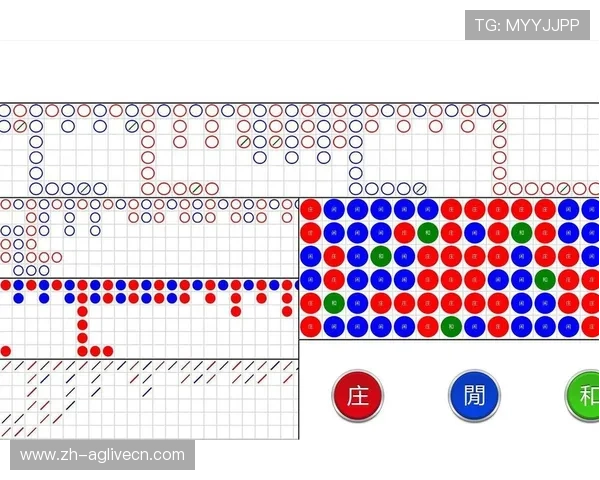 网赌百家乐如何利用技术手段提升游戏公平性与透明度确保玩家权益的保障措施